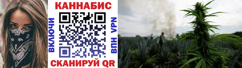 Как найти закладки Асино Каннабис  Alpha PVP  Кодеин  Мефедрон  КОКАИН  Гашиш 