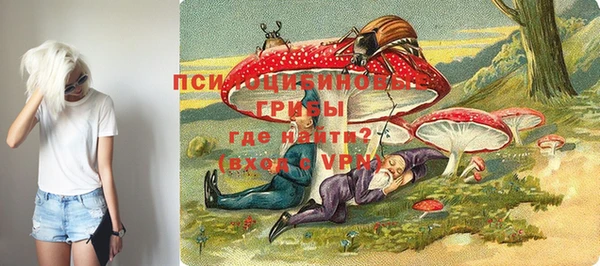 ГАЛЛЮЦИНОГЕННЫЕ ГРИБЫ Армянск