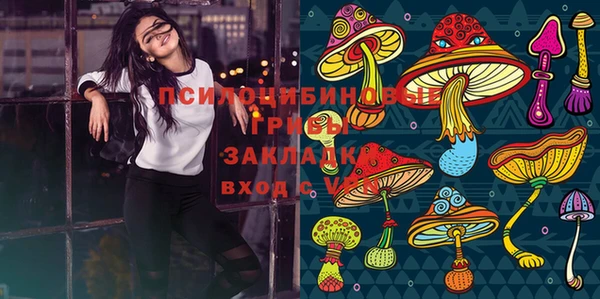 ГАЛЛЮЦИНОГЕННЫЕ ГРИБЫ Армянск