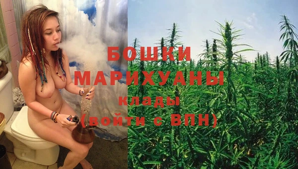 винт Аркадак