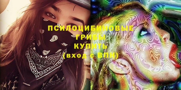 винт Аркадак